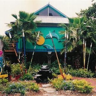 Jungle Drums Gallery
